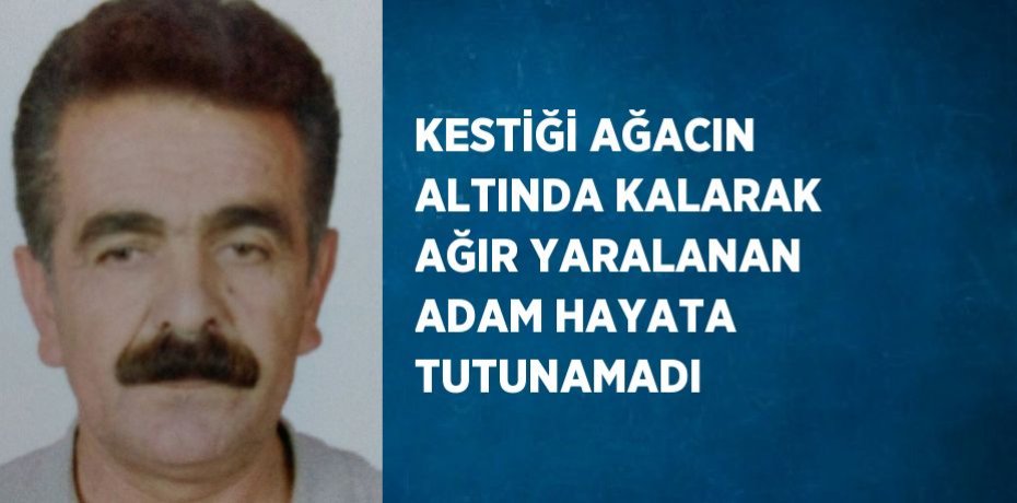 KESTİĞİ AĞACIN ALTINDA KALARAK AĞIR YARALANAN ADAM HAYATA TUTUNAMADI