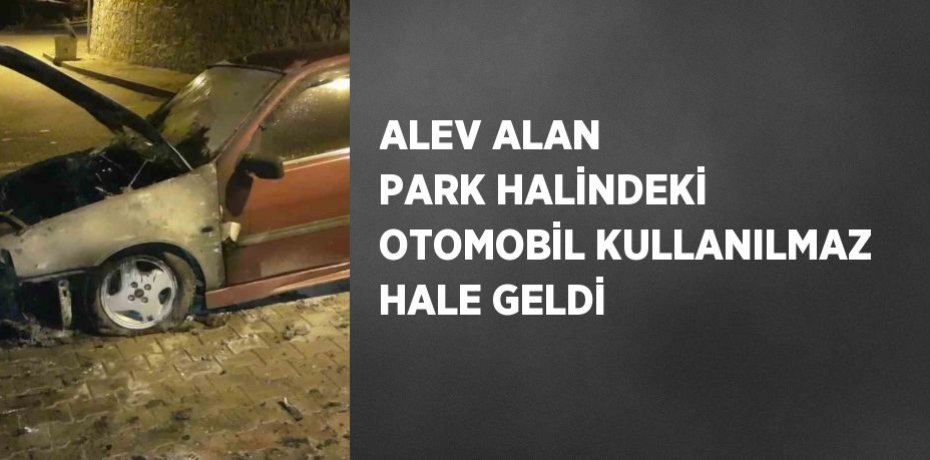 ALEV ALAN PARK HALİNDEKİ OTOMOBİL KULLANILMAZ HALE GELDİ