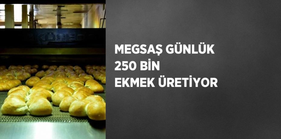 MEGSAŞ GÜNLÜK 250 BİN EKMEK ÜRETİYOR
