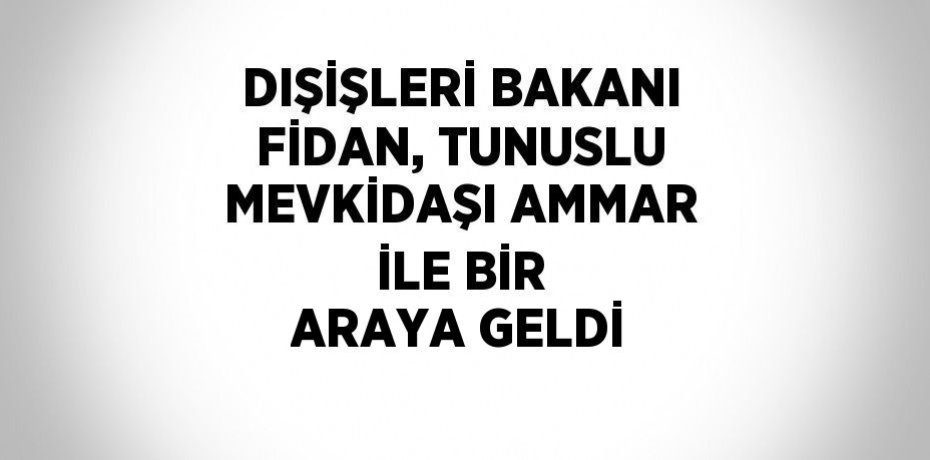 DIŞİŞLERİ BAKANI FİDAN, TUNUSLU MEVKİDAŞI AMMAR İLE BİR ARAYA GELDİ