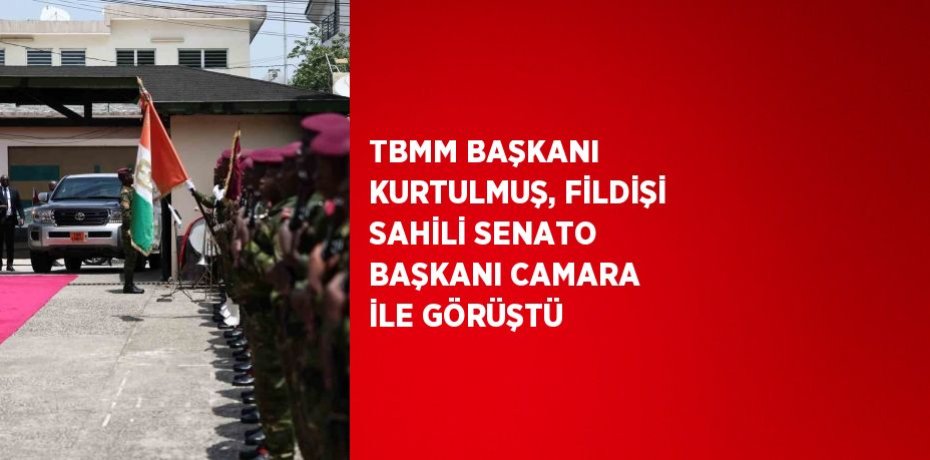 TBMM BAŞKANI KURTULMUŞ, FİLDİŞİ SAHİLİ SENATO BAŞKANI CAMARA İLE GÖRÜŞTÜ