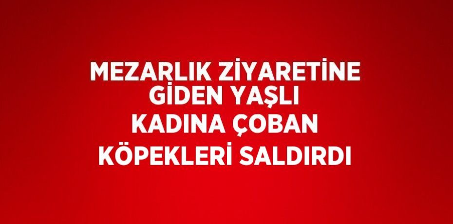 MEZARLIK ZİYARETİNE GİDEN YAŞLI KADINA ÇOBAN KÖPEKLERİ SALDIRDI
