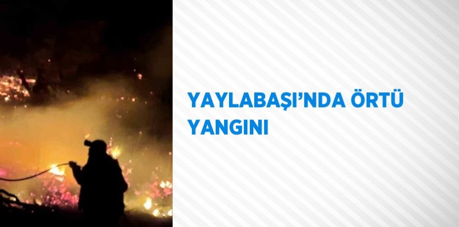 YAYLABAŞI’NDA ÖRTÜ YANGINI