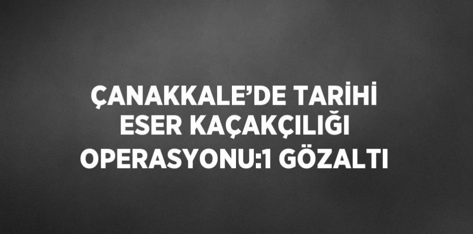 ÇANAKKALE’DE TARİHİ ESER KAÇAKÇILIĞI OPERASYONU:1 GÖZALTI