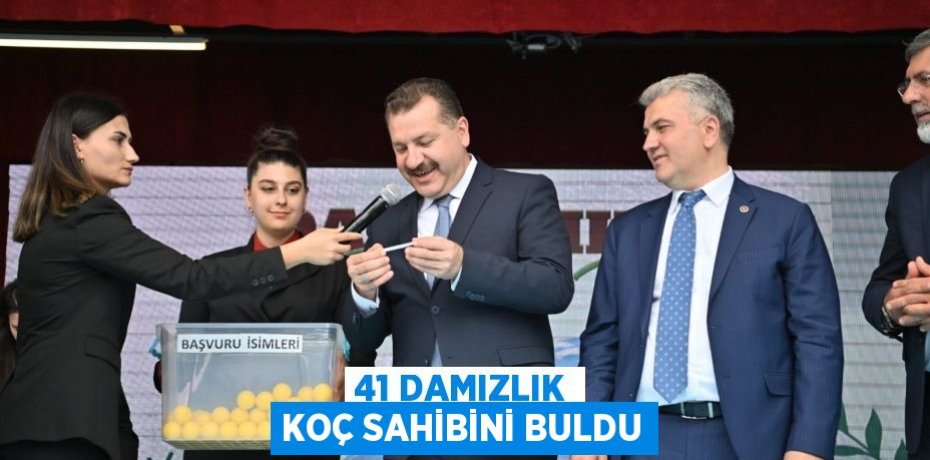 41 damızlık koç sahibini buldu