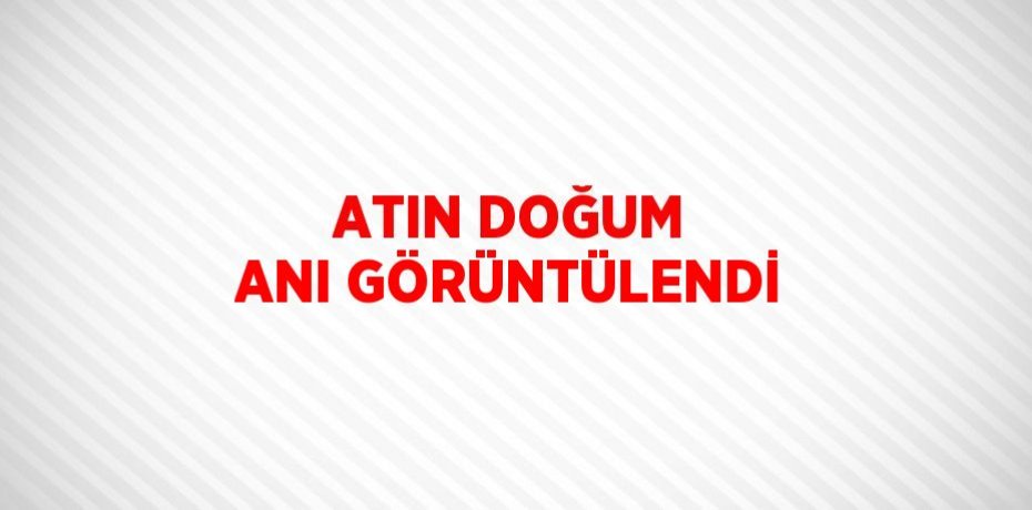 ATIN DOĞUM ANI GÖRÜNTÜLENDİ