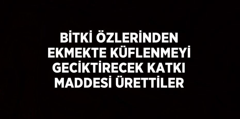 BİTKİ ÖZLERİNDEN EKMEKTE KÜFLENMEYİ GECİKTİRECEK KATKI MADDESİ ÜRETTİLER