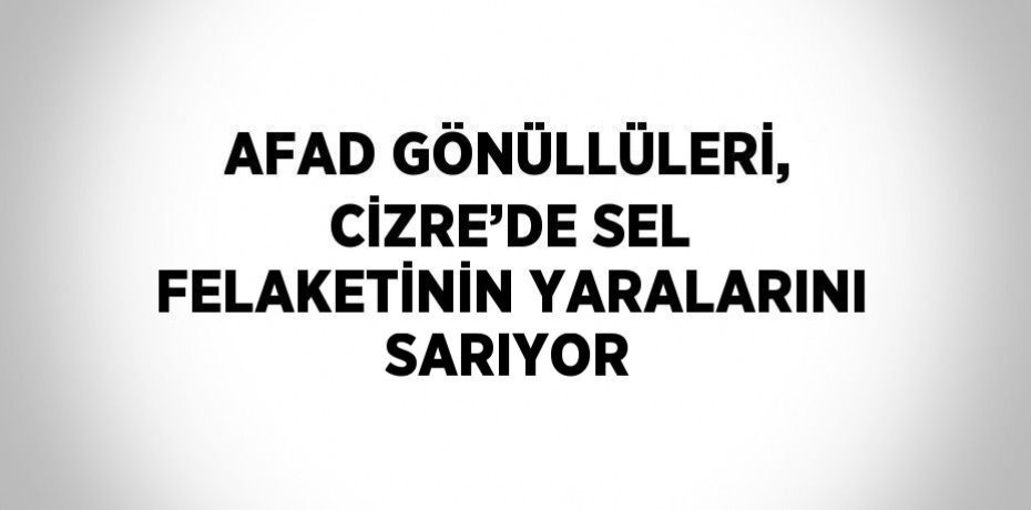 AFAD GÖNÜLLÜLERİ, CİZRE’DE SEL FELAKETİNİN YARALARINI SARIYOR