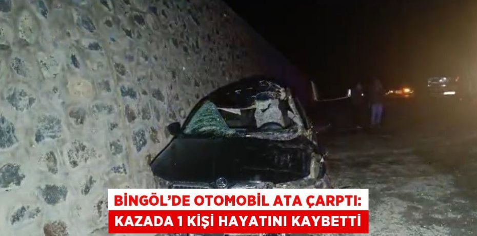 BİNGÖL’DE OTOMOBİL ATA ÇARPTI: KAZADA 1 KİŞİ HAYATINI KAYBETTİ