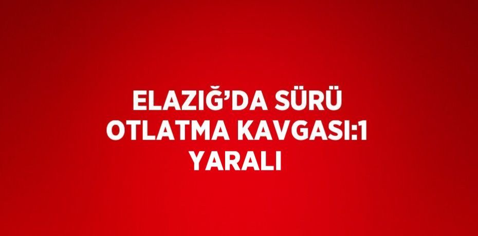 ELAZIĞ’DA SÜRÜ OTLATMA KAVGASI:1 YARALI