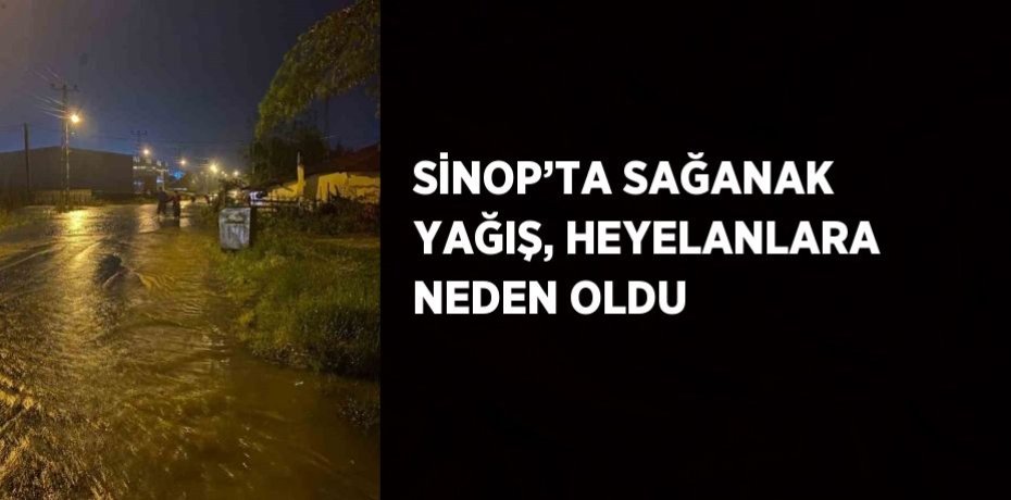 SİNOP’TA SAĞANAK YAĞIŞ, HEYELANLARA NEDEN OLDU