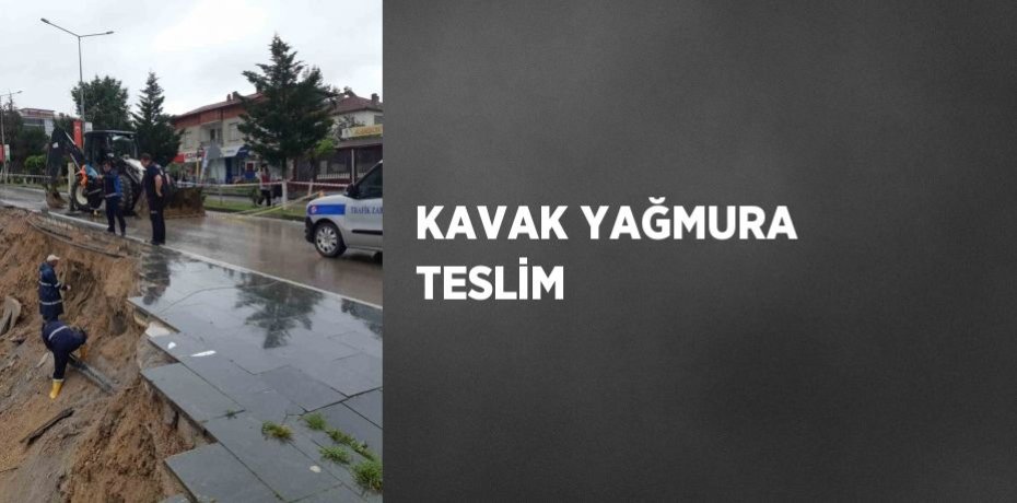 KAVAK YAĞMURA TESLİM
