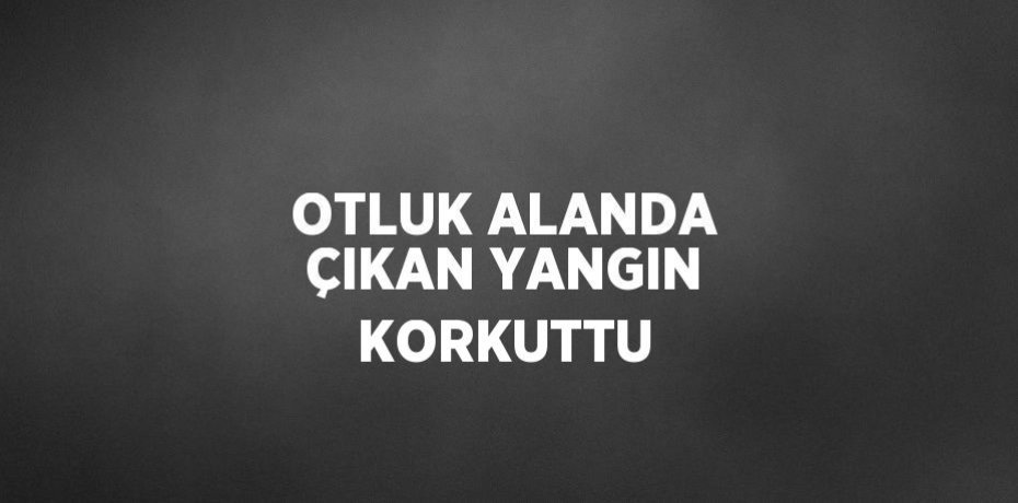 OTLUK ALANDA ÇIKAN YANGIN KORKUTTU