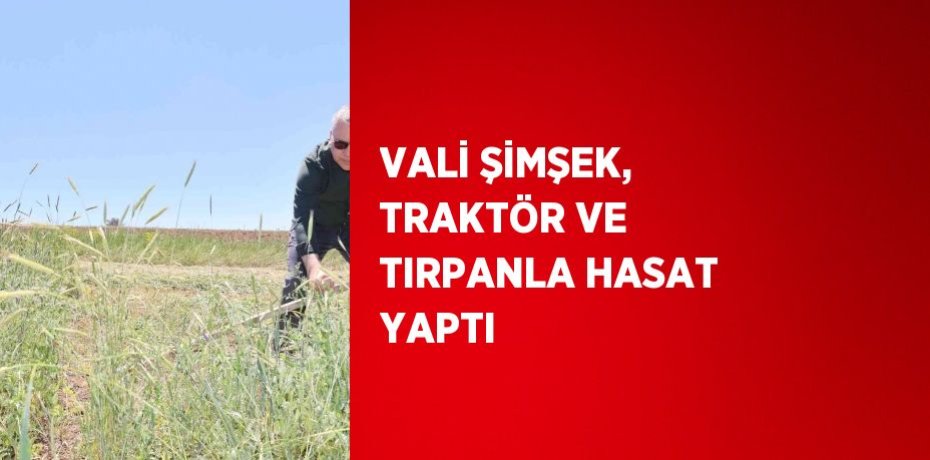 VALİ ŞİMŞEK, TRAKTÖR VE TIRPANLA HASAT YAPTI