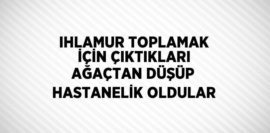 IHLAMUR TOPLAMAK İÇİN ÇIKTIKLARI AĞAÇTAN DÜŞÜP HASTANELİK OLDULAR