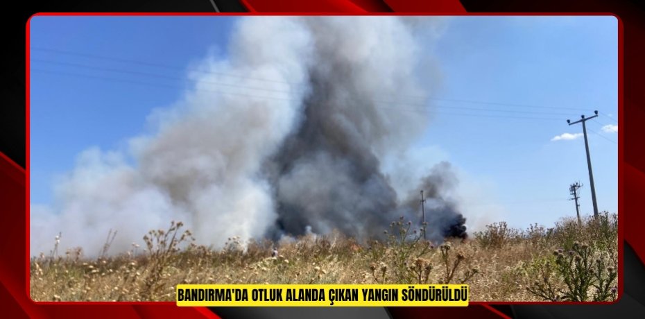 Bandırma'da otluk alanda çıkan yangın söndürüldü  