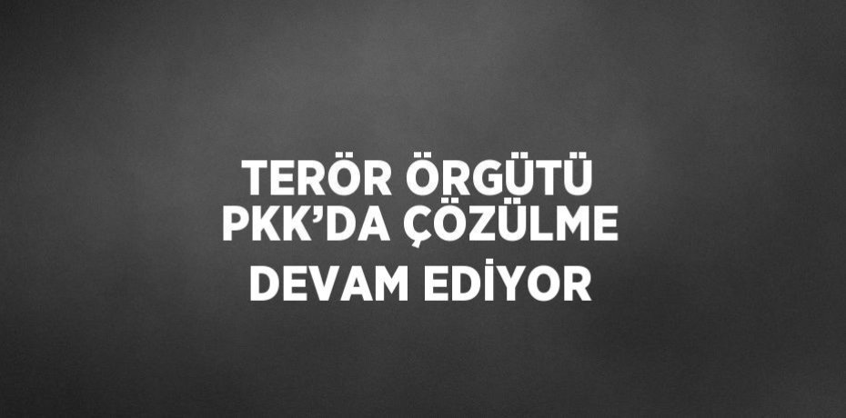 TERÖR ÖRGÜTÜ PKK’DA ÇÖZÜLME DEVAM EDİYOR