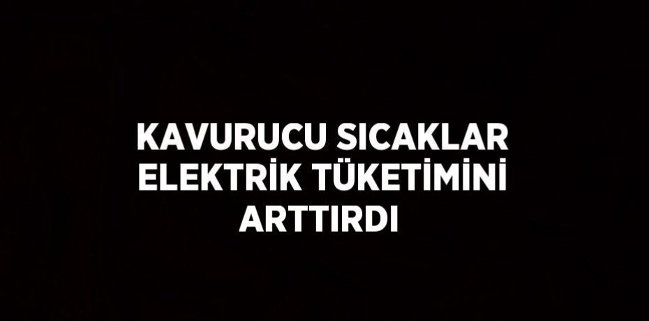 KAVURUCU SICAKLAR ELEKTRİK TÜKETİMİNİ ARTTIRDI