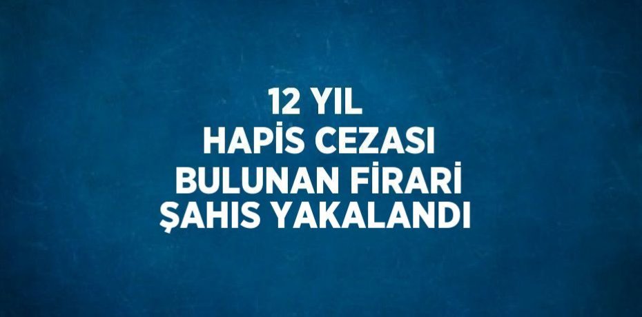 12 YIL HAPİS CEZASI BULUNAN FİRARİ ŞAHIS YAKALANDI