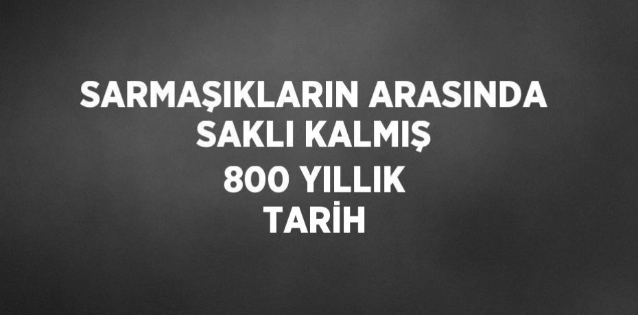 SARMAŞIKLARIN ARASINDA SAKLI KALMIŞ 800 YILLIK TARİH
