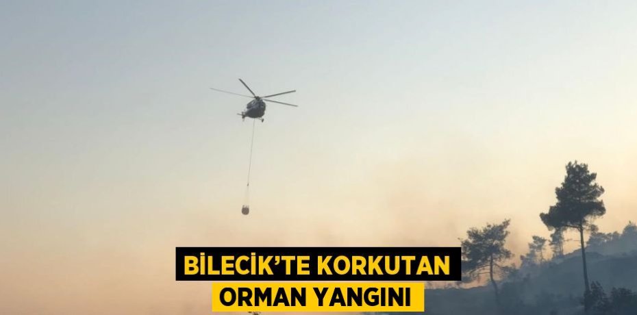 BİLECİK’TE KORKUTAN ORMAN YANGINI