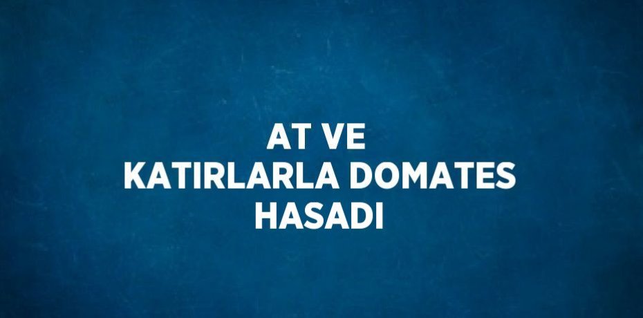 AT VE KATIRLARLA DOMATES HASADI