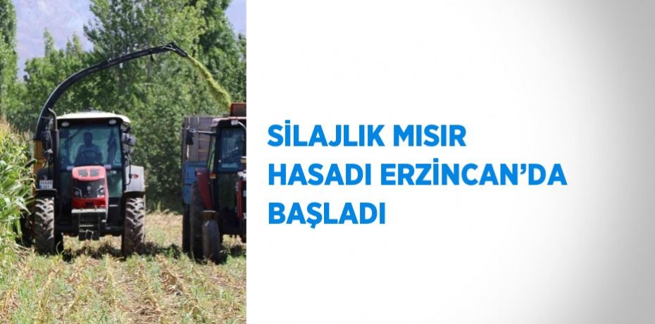 SİLAJLIK MISIR HASADI ERZİNCAN’DA BAŞLADI