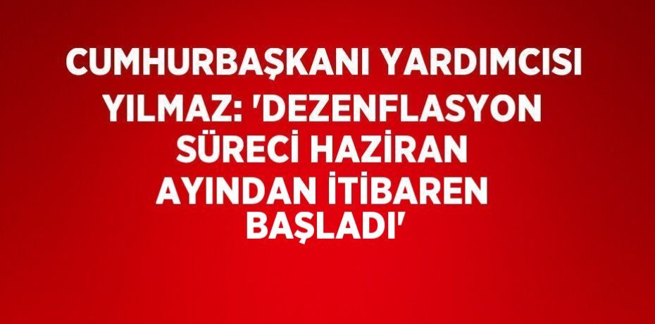 CUMHURBAŞKANI YARDIMCISI YILMAZ: 'DEZENFLASYON SÜRECİ HAZİRAN AYINDAN İTİBAREN BAŞLADI'