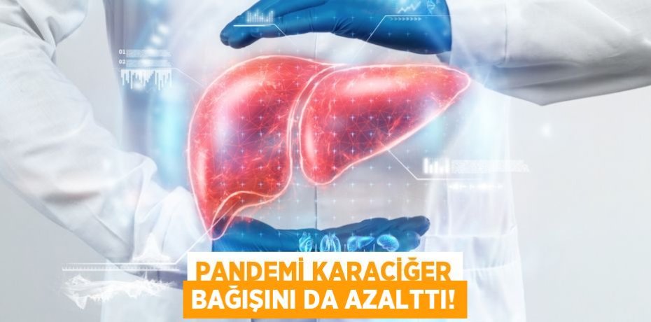 Pandemi karaciğer bağışını da azalttı!