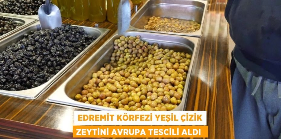 Edremit Körfezi yeşil çizik zeytini Avrupa tescili aldı 