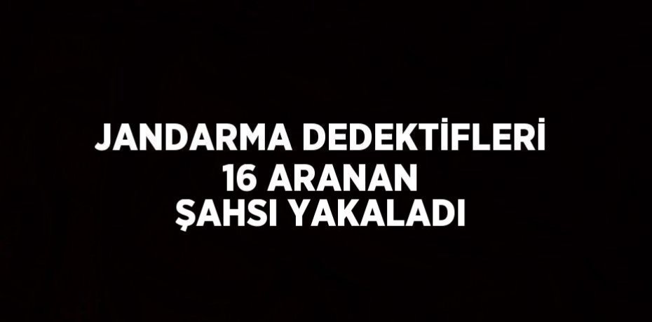 JANDARMA DEDEKTİFLERİ 16 ARANAN ŞAHSI YAKALADI
