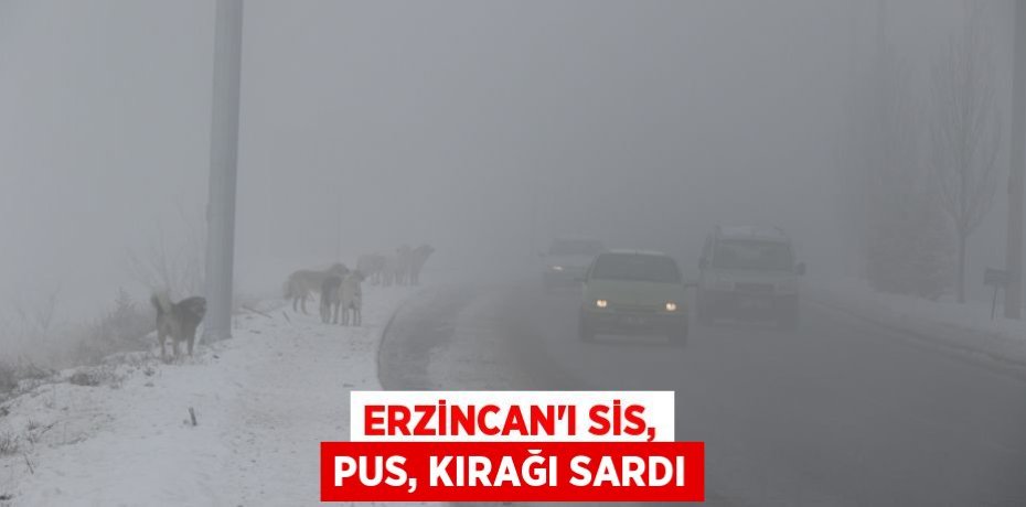 Erzincan’ı sis, pus, kırağı sardı