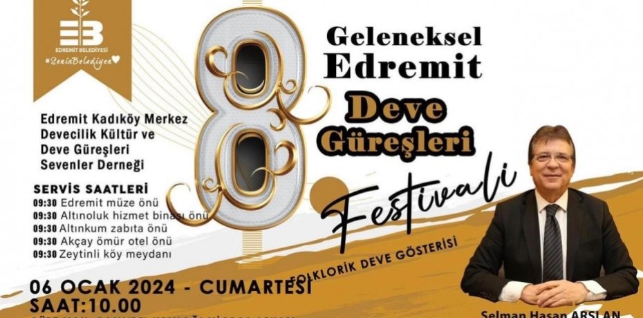 Edremit Deve Güreşleri Şenlikleri Bugün Başladı