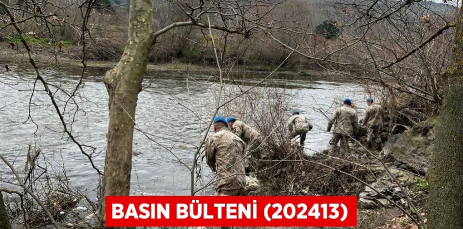 Basın Bülteni (202413)