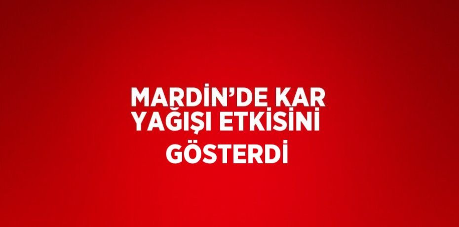 MARDİN’DE KAR YAĞIŞI ETKİSİNİ GÖSTERDİ