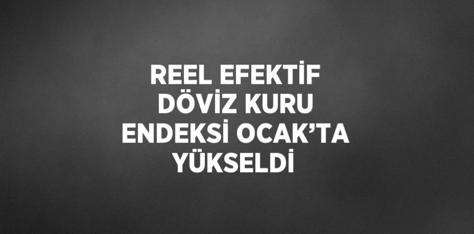 REEL EFEKTİF DÖVİZ KURU ENDEKSİ OCAK’TA YÜKSELDİ