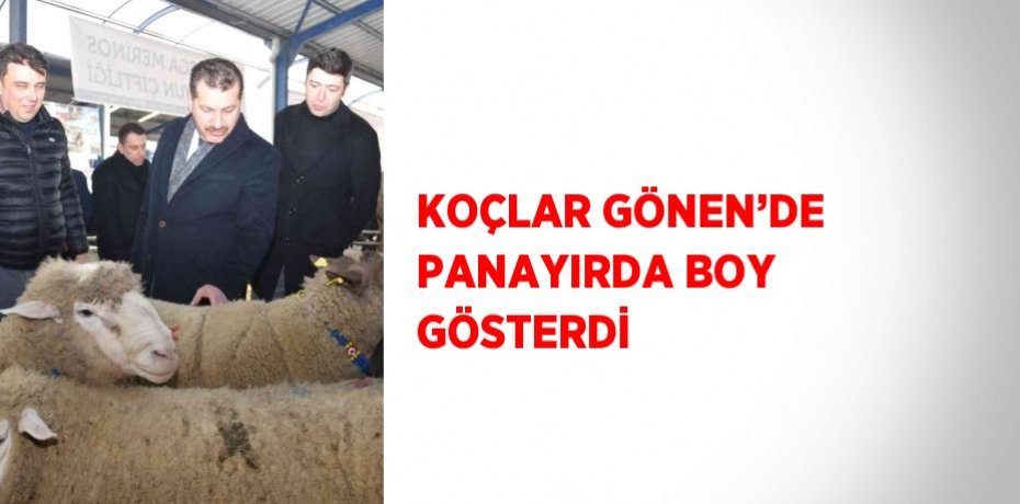 KOÇLAR GÖNEN’DE PANAYIRDA BOY GÖSTERDİ