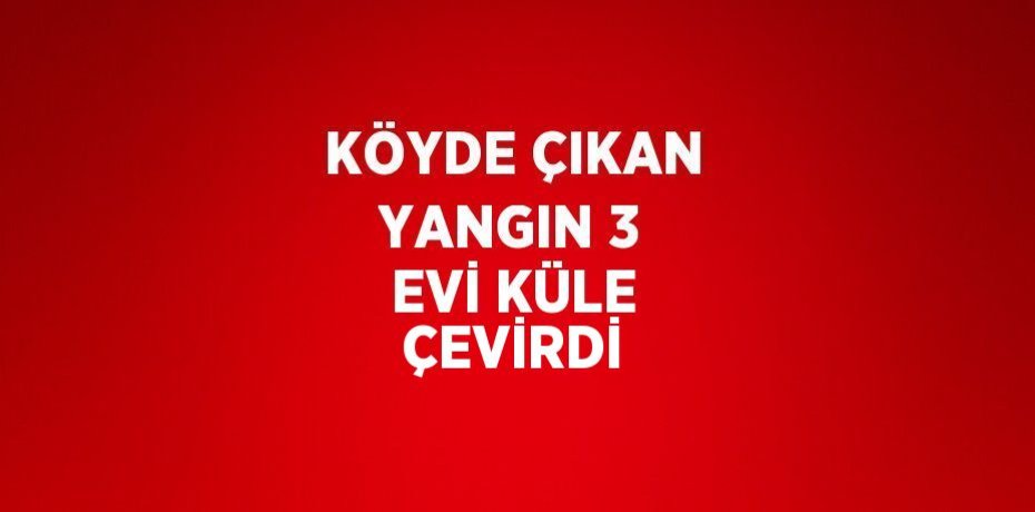 KÖYDE ÇIKAN YANGIN 3 EVİ KÜLE ÇEVİRDİ