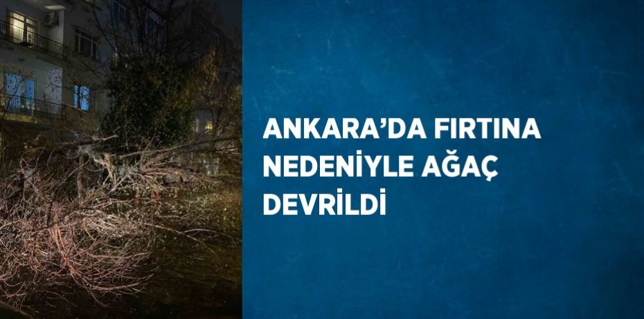 ANKARA’DA FIRTINA NEDENİYLE AĞAÇ DEVRİLDİ
