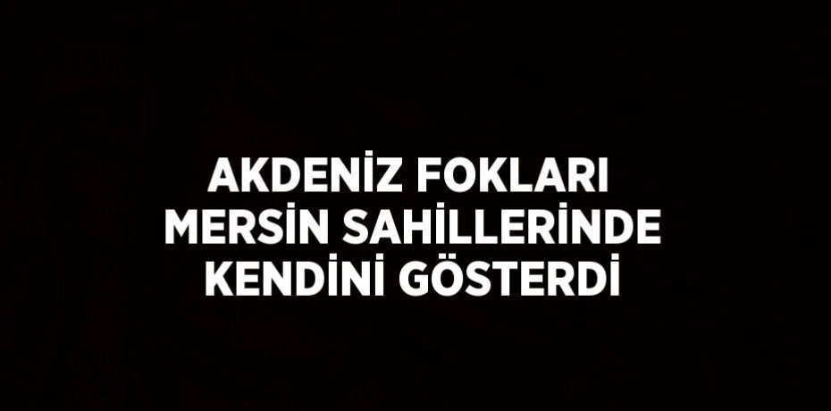 AKDENİZ FOKLARI MERSİN SAHİLLERİNDE KENDİNİ GÖSTERDİ