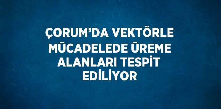ÇORUM’DA VEKTÖRLE MÜCADELEDE ÜREME ALANLARI TESPİT EDİLİYOR