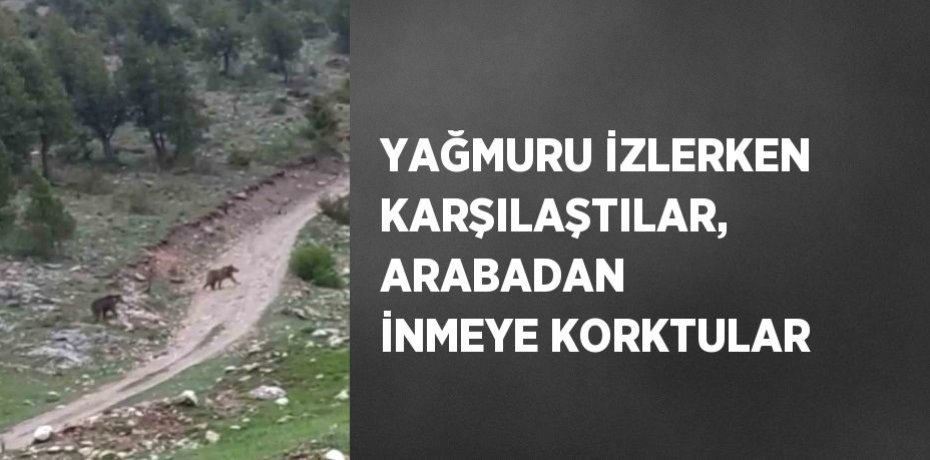 YAĞMURU İZLERKEN KARŞILAŞTILAR, ARABADAN İNMEYE KORKTULAR