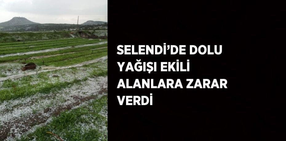 SELENDİ’DE DOLU YAĞIŞI EKİLİ ALANLARA ZARAR VERDİ