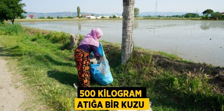 500 kilogram atığa bir kuzu
