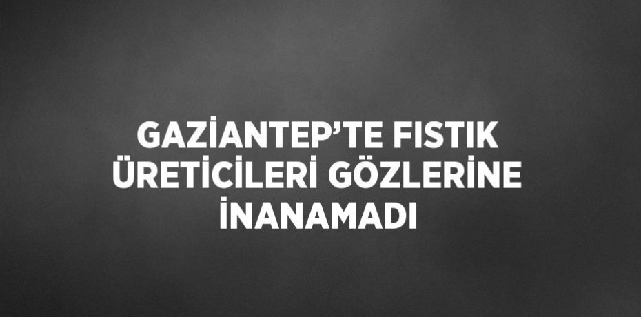 GAZİANTEP’TE FISTIK ÜRETİCİLERİ GÖZLERİNE İNANAMADI