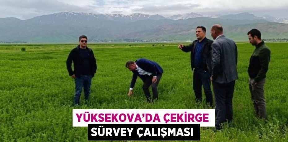 YÜKSEKOVA’DA ÇEKİRGE SÜRVEY ÇALIŞMASI