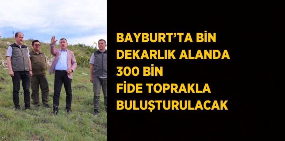 BAYBURT’TA BİN DEKARLIK ALANDA 300 BİN FİDE TOPRAKLA BULUŞTURULACAK