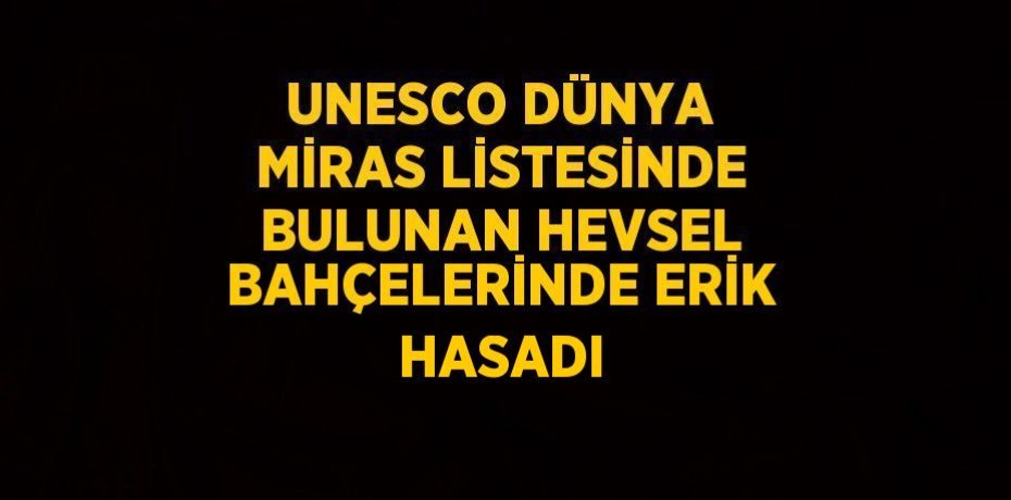 UNESCO DÜNYA MİRAS LİSTESİNDE BULUNAN HEVSEL BAHÇELERİNDE ERİK HASADI