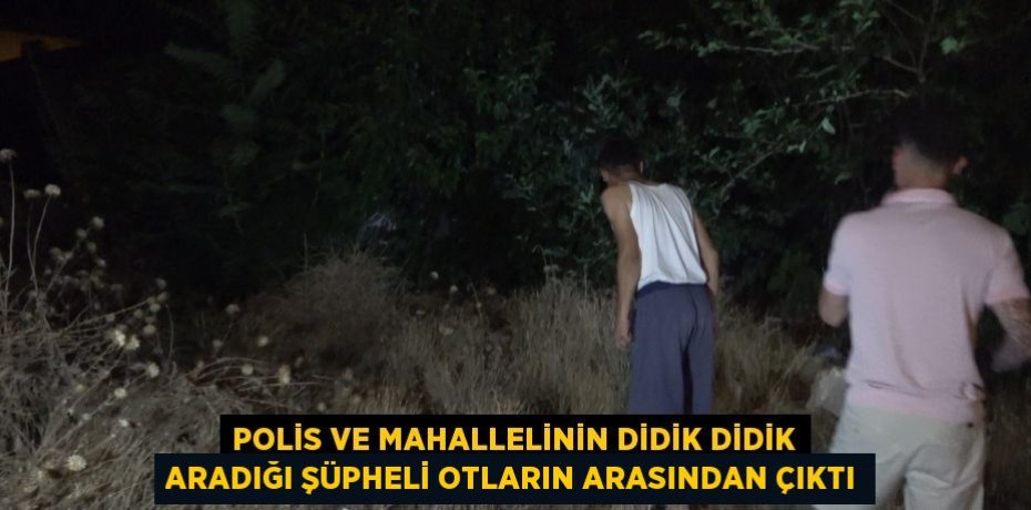 POLİS VE MAHALLELİNİN DİDİK DİDİK ARADIĞI ŞÜPHELİ OTLARIN ARASINDAN ÇIKTI