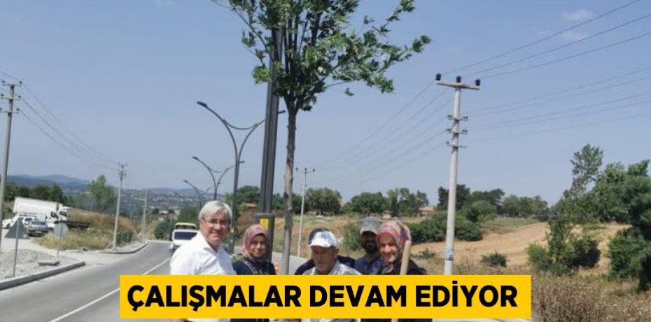 Çalışmalar devam ediyor